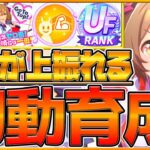 【ウマ娘】強さが伸びる”全てを詰め込んだ”初動育成!!グランドライブで上手く育成するための方法を解説！基礎知識やレッスン,練習の優先度,楽曲獲得まとめ！新シナリオ/育成法/初心者～中級者【うまむすめ】