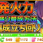 【ウマ娘】完全SR編成で爆発火力ウマ育成！試行回数を極力抑えた編成で勝てる育成解説！重要スキルやサポカ編成,立ち回り！/ライブラ杯2/ウオッカ/メジロライアン/チャンピオンズミーティング【うまむすめ】