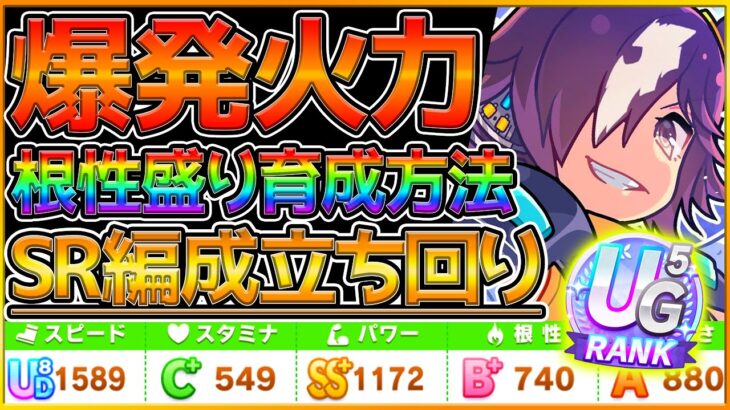 【ウマ娘】完全SR編成で爆発火力ウマ育成！試行回数を極力抑えた編成で勝てる育成解説！重要スキルやサポカ編成,立ち回り！/ライブラ杯2/ウオッカ/メジロライアン/チャンピオンズミーティング【うまむすめ】