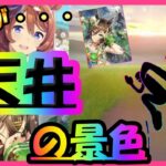 【ウマ娘ガチャ】この復刻ガチャに俺のありったけを・・・！シービー＆クリークサポカガチャＬＡＳＴ【ユキナガウマ娘育成攻略:ゆっくり音声】