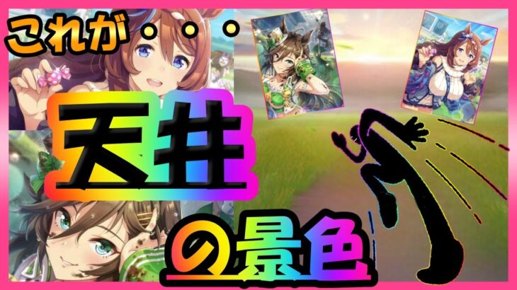 【ウマ娘ガチャ】この復刻ガチャに俺のありったけを・・・！シービー＆クリークサポカガチャＬＡＳＴ【ユキナガウマ娘育成攻略:ゆっくり音声】