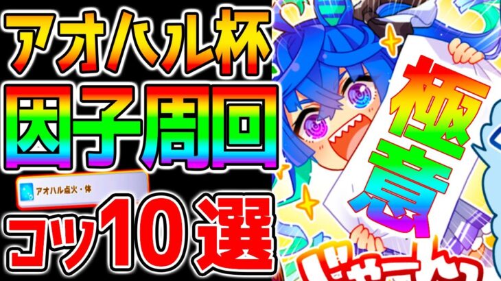 【ウマ娘】アオハル杯『極意 10選！』因子周回編！アオハル杯周回の「コツ」「ローテ」「デッキ」「立ち回り」「育成法」etc【NottinTV ウマ娘プリティーダービー チャンミ】