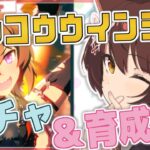 【ウマ娘プリティーダービー】新ガチャ✨シンコウウインディ ちゃんを引くのだ【にじさんじフミ】