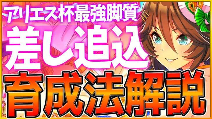 【ウマ娘】アリエス杯『差し追込』勝つための育成解説‼サポカ編成と育成方針,スキル優先度をまとめて紹介！おすすめデッキ編成,継承/勝てるポイント/後方ウマ娘/Tierランキング【アリエス杯2023】