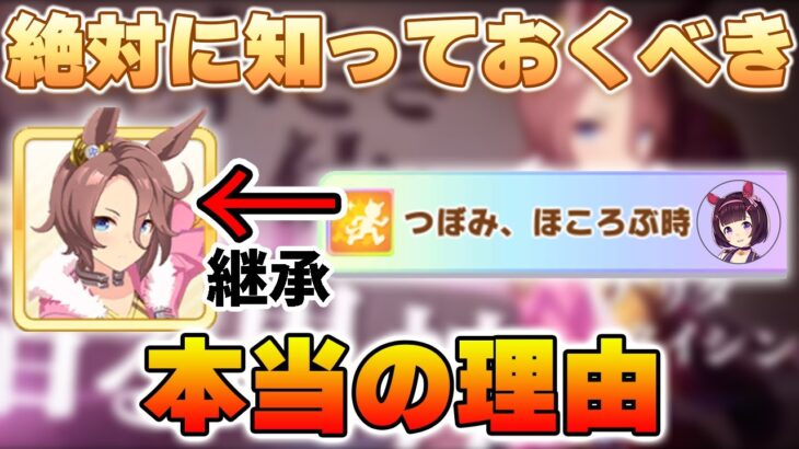 【ウマ娘】本質を理解しているか？タイシンにつぼみを継承する本当の理由と、知らないと惨敗する可能性があることについて解説します！【チャンピオンズミーティング】