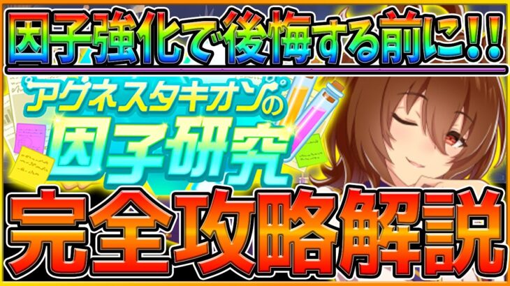 【ウマ娘】”最新版の因子研究” 強化おすすめウマ娘と因子厳選解説‼作っておきたい青因子＆赤因子や今から始める厳選も詳しく紹介‼/脚質別の祖父母因子厳選/アグネスタキオンの因子研究【神イベント攻略】