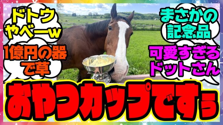 『実は1億円!?メイショウドトウのおやつカップ』に対するみんなの反応集 まとめ ウマ娘プリティーダービー レイミン 競馬