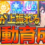 【育成解説】強さが変わる”ラークシナリオ”全てを詰め込んだ初動育成！上振れを伸ばすための解説‼トレーニング優先度,SSマッチ,スターゲージ,海外遠征/初心者～上級者まで/UD【ウマ娘/2.5周年記念】