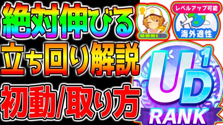 【ウマ娘】絶対伸びる『ラーク立ち回り法！』初動/メイ/絆/海外適性取り方！全てを詰め込んだラークシナリオ育成法解説！【ウマ娘プリティーダービー 長距離 マエストロ SSR引換券ラモーヌ水マルジャンポケ