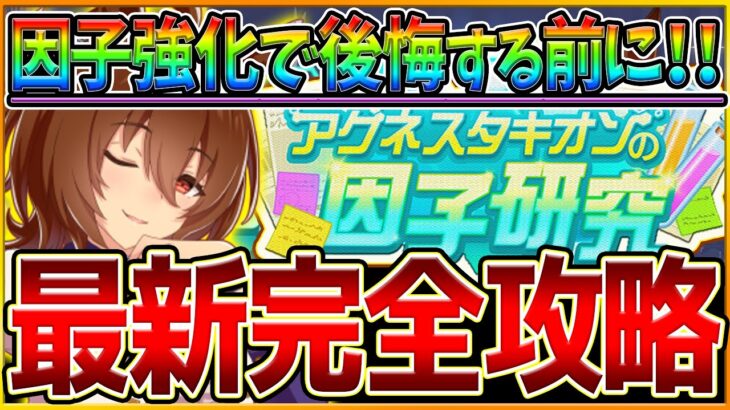 【最新版】”後悔する前に” 因子強化おすすめウマ娘とマイルLOH厳選について‼重要な白因子や作っておきたい青因子＆赤因子の優先度‼ラーク環境/汎用の祖父母因子厳選/ウマ娘【アグネスタキオンの因子研究】