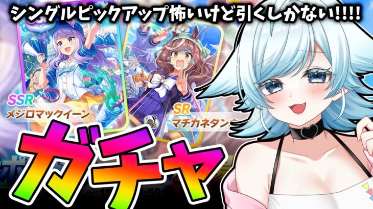 【ウマ娘ガチャ】先行激推しトレーナーなのでこのサポカは引くしかありませんわ～～～！！クリスマスと正月は未来の自分に任せるわ😇賢さ野球マックイーン【葛籠おり/STAR SPECTRE】