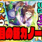 『2人目のカノープス新メンバーのスちゃん遂に名前が公開される！？』に対するみんなの反応集 まとめ ウマ娘プリティーダービー レイミン ヴィブロス シュヴァルグラン