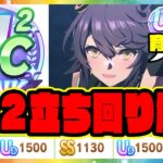 【ウマ娘】UC2世界トップレベル評価育成解説 ナリタブライアン UAFシナリオ【ウマ娘プリティーダービー】【レイミン】