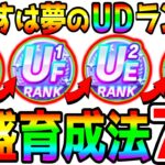 【ウマ娘】ランク爆盛り『新シナリオ育成法』7選！UDを作ってみたい 高育成ランクウマ娘育成法・立ち回り・デッキ構成【最強サポカ解説 ウマ娘プリティーダービー  UAF 因子周回 つるぎさん】