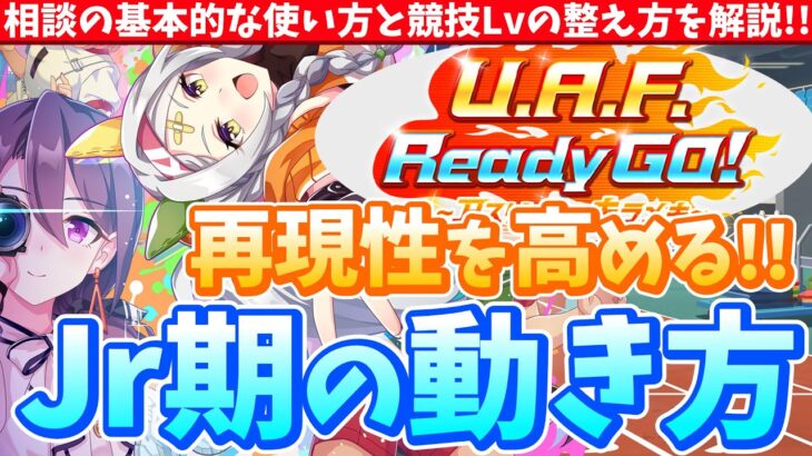 【育成方法】相談の基本的な使い方と競技Lvの整え方を解説!!再現性を高める!!ジュニア期の動き方　#ウマ娘