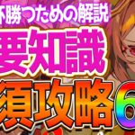 【ウマ娘】勝つために必須”ダート杯チャンミ”重要攻略6選‼必要スタミナ量やレース場ポイント 加速 継承 深掘り解説！ダートマイル/スキルまとめ/因子厳選/環境ウマ娘【8月チャンピオンズミーティング】