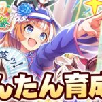 【#ウマ娘】よくわからない人向け 大豊食祭かんたん育成法解説【新シナリオ/大豊食祭】