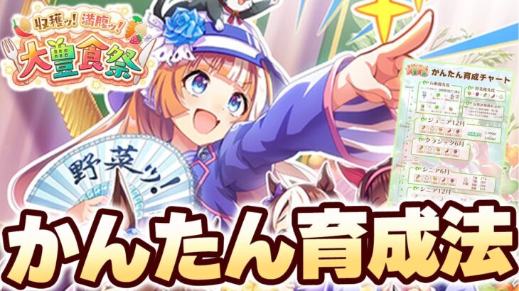 【#ウマ娘】よくわからない人向け 大豊食祭かんたん育成法解説【新シナリオ/大豊食祭】