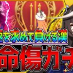 【ウマ娘】最高速の引きで致命傷を負う漢…カルストンライトオ引けるまでガチャ企画!!連続天井記録を止めることができるのか⁉新ウマ娘/新ガチャ更新【ガチャ動画】