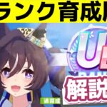 【解説ver】UBランクを達成したときの育成で考えていることを言語化しました【ウマ娘】【豊食祭】