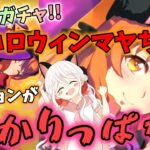 【ウマ娘】【ガチャ動画】最推しの新衣装！ハロウィンマヤノトップガン！ねこちゃんになって登場！大好きさと可愛さと嬉しすぎさで、掛かりっぱなしのテンションでガチャをひく女！