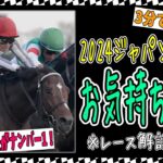 【ゆっくりウマ娘】3分でわかる2024JCドウデュース武豊についてお気持ち表明（ただのレース解説）【biimシステム】