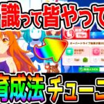 【ウマ娘】メカウマ娘 新育成法 て皆やってるの？『チューニングまとめ！』チ。メカウマ娘のチューニングについて【ウマ娘プリティーダービー 立ち回り UC UB 有馬記念 長距離チャンミ 中距離チャンミ】
