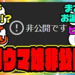 『ウマ娘公式で公開されていた年末年始のウマ娘が突然非公開になってしまう！？』に対するみんなの反応』に対するみんなの反応集 まとめ ウマ娘プリティーダービー レイミン