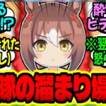 【ウマ娘】SP隊(酔)『いぇ～い！殿下～見てますか～！！』に対するみんなの反応集【ウマ娘 反応集】まとめ ウマ娘プリティーダービー