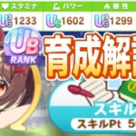 【攻略】対人育成でUB超え!!育成状況ってどんな感じ?!ターン毎の考え方を踏まえて振り返り　#ウマ娘
