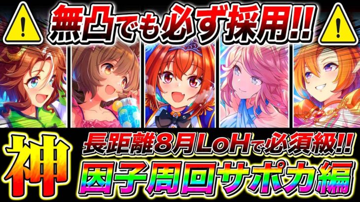 【ウマ娘】持ってたら無凸でも必ず採用しろ!!長距離8月LoH因子周回サポカまとめ!!優先すべき白因子/必須スキル/札幌2600m【ウマ娘 新シナリオ 無人島 リーグオブヒーローズ】