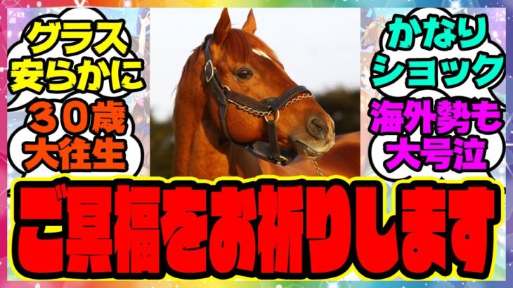 訃報『グラスワンダー 亡くなる、30歳』に対するみんなの反応集 まとめ ウマ娘プリティーダービー レイミン