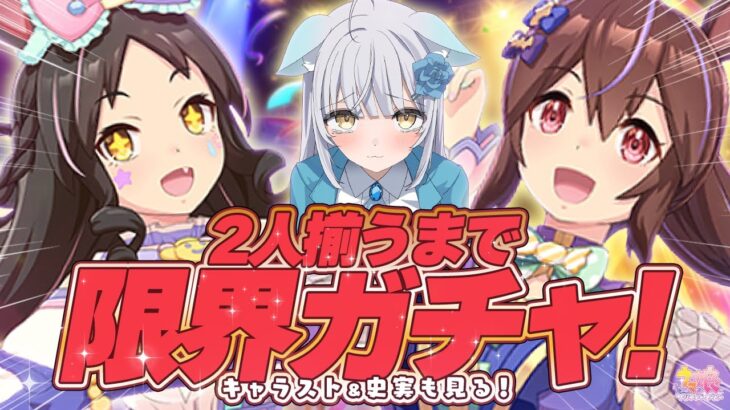 【ウマ娘ガチャ】絶対お迎え⁉️マーベラス☆ヒシアケボノお迎え＆キャラスト＆史実ぜんぶ観る♡ #umamusume #ウマ娘【⛩️最近運が爆発しているが今回はどうだ？⛩️✨】