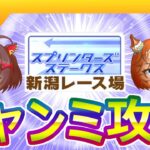 10月新潟短距離チャンミ攻略【ウマ娘/ミニ作画1.8h/編集18.3h】