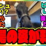 『予想外すぎる実馬のエイシンフラッシュ』に対するみんなの反応集 ウマ娘プリティーダービー