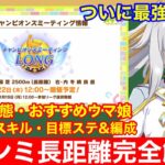 【ウマ娘】これ一本で完全攻略！チャンミ中山2500mで差が付くポイントをすべて徹底解説‼【1月チャンピオンズミーティングLONG有馬記念】