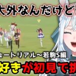 【ウマ娘】競馬好きvtuberが初見で育成してみた結果…→レース面白すぎる！！【染谷レイナ/切り抜き】