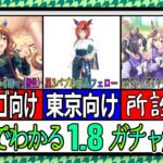 【ゆっくりウマ娘】3分でわかる正月バブルガムフェローガチャ解説動画【biimシステム】