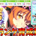 無凸友人でUSランク　新シナリオ ビヨンドドリーム育成動画　マヤノ攻略　ウマ娘　Beyond Dreams【Umamusume:Pritty Derby】training scene of a US2