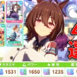 絶対伸びるドリームシナリオのコツまとめ【ウマ娘】