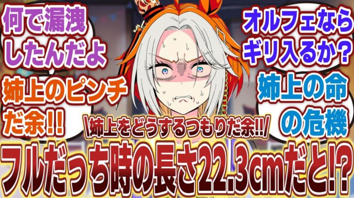 【ウマ娘】「姉上のトレーナーの臨戦態勢時のハロン棒が余りにも大きすぎて実の妹として心配するオルフェーヴル」に対するみんなの反応集