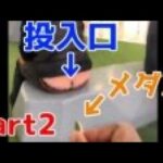 【腹筋崩壊不可避】海外のガチで面白い動画集part2