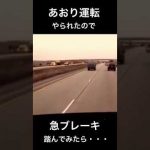 あおり運転やられたので、急ブレーキ踏んでみたら・・・ #shorts