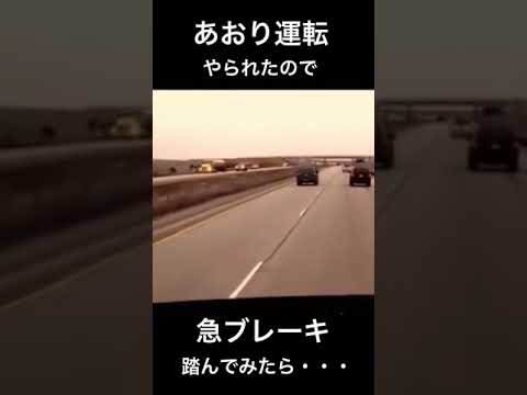 あおり運転やられたので、急ブレーキ踏んでみたら・・・ #shorts