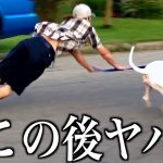 【神回】ツッコミどころ満載な動物のおもしろ動画見ようぜwwwwww⑨【ハプニング映像】【犬】【猫】