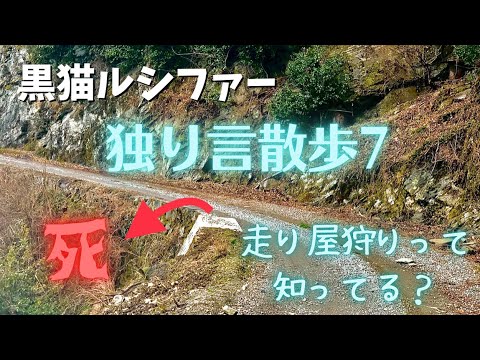 田舎 独り言散歩7 車の運転について語る