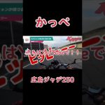 【ジェイド250】広島2号線　広島ジャデ250 割り込み　煽り運転　クラクション　トラブル