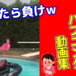 【吹いたら負け】ツイてない日に見る動画 その19