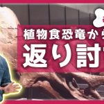 肉食恐竜の狩りも大変😓植物食恐竜の返り討ち｜初級編｜