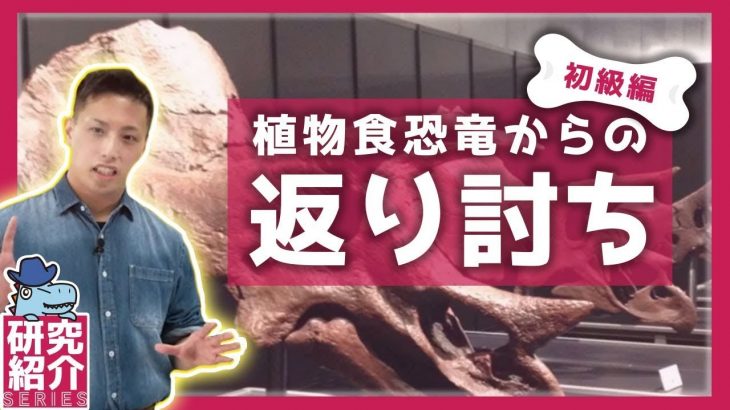 肉食恐竜の狩りも大変😓植物食恐竜の返り討ち｜初級編｜